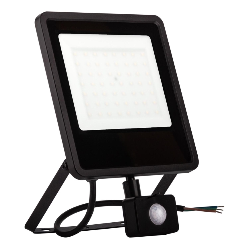 LED Outdoor floodlight with a sensor LED/30W/230V 4000K IP65 black