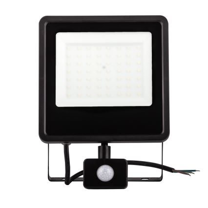 LED Outdoor floodlight with a sensor LED/30W/230V 4000K IP65 black