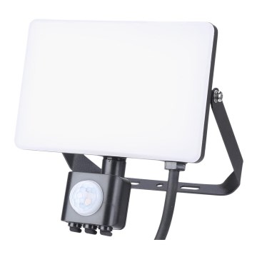 LED Outdoor floodlight with a sensor LED/30W/230V 5000K IP44