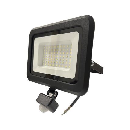LED Outdoor floodlight with a sensor LED/50W/230V 4000K IP44 black