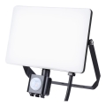 LED Outdoor floodlight with a sensor LED/50W/230V 5000K IP44