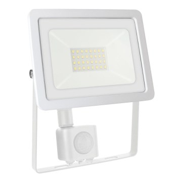 LED Outdoor floodlight with a sensor NOCTIS LUX 2 LED/30W/230V 4000K IP44 white