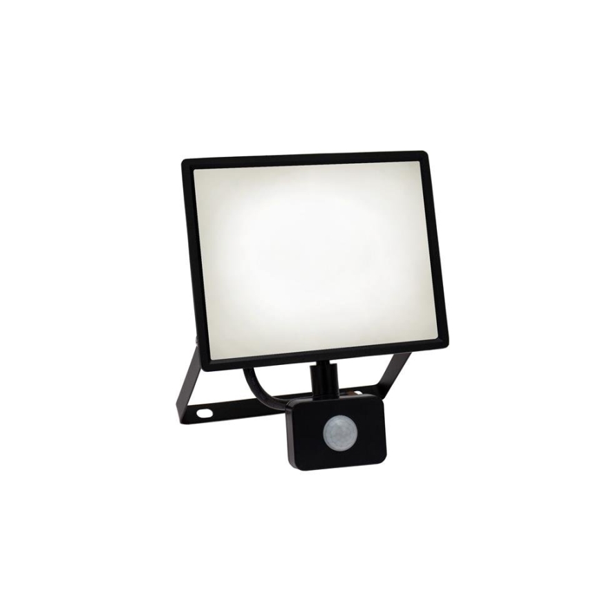LED Outdoor floodlight with a sensor NOCTIS LUX 3 LED/50W/230V 4000K IP44 black