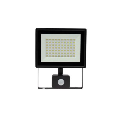 LED Outdoor floodlight with a sensor NOCTIS LUX 3 LED/50W/230V 4000K IP44 black