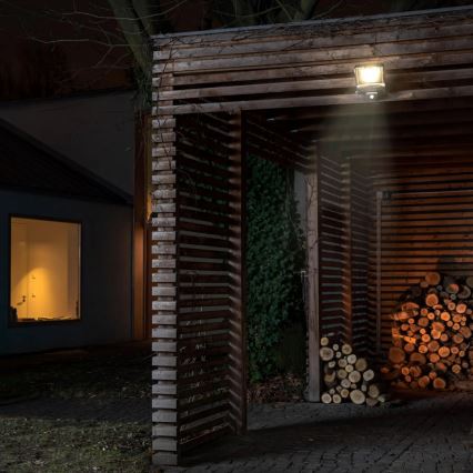 LED Outdoor Floodlight with Motion and Dusk Sensor LED/50W/230V 4500K IP65 Black