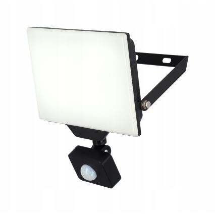 LED Outdoor Floodlight with Motion and Dusk Sensor LED/50W/230V 4500K IP65 Black