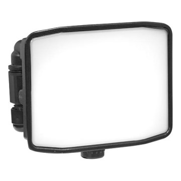 LED Outdoor floodlight ZIPO LED/10W/230V 5000K IP65 black
