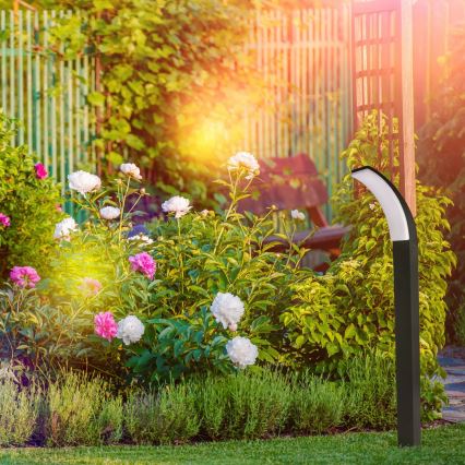 LED Outdoor lamp AMY LED/12W/230V 100 cm IP44 black