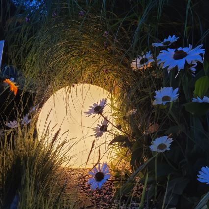 LED Outdoor lamp GLOBO 1xE27/11W/230V d. 60 cm IP44