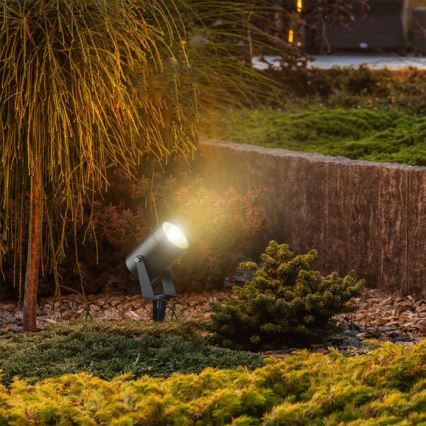 LED Outdoor Lamp LED/10W/230V 3000K IP65