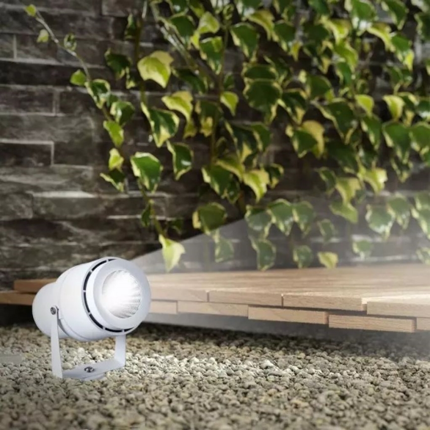 LED Outdoor lamp LED/12W/100-240V IP65 white - green light