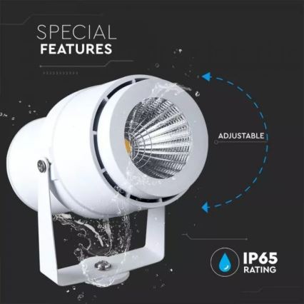 LED Outdoor lamp LED/12W/100-240V IP65 white - green light