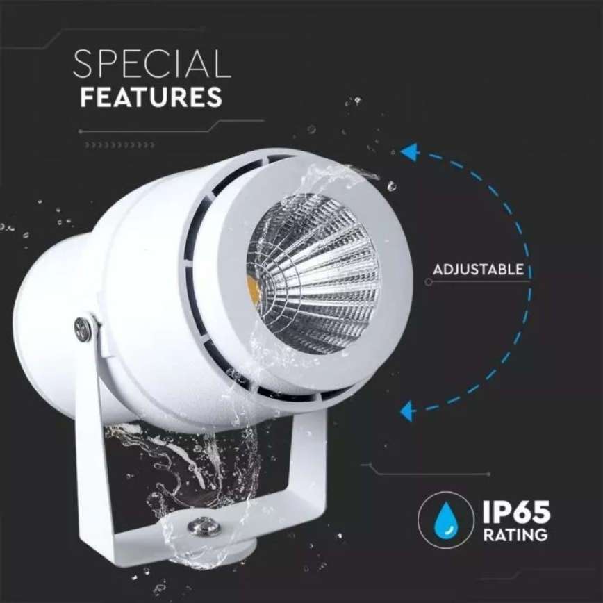 LED Outdoor lamp LED/12W/100-240V IP65 white - green light