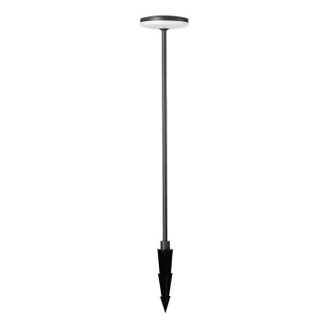 LED Outdoor lamp LED/12W/230V 3000K IP65 anthracite