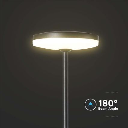 LED Outdoor lamp LED/12W/230V 4000K IP65 anthracite