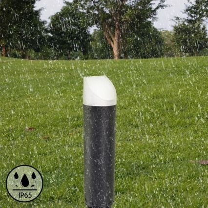LED Outdoor lamp LED/3W/230V 2800K IP65