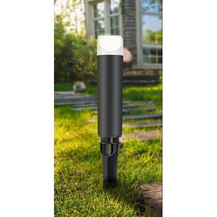 LED Outdoor lamp LED/3W/230V 2800K IP65