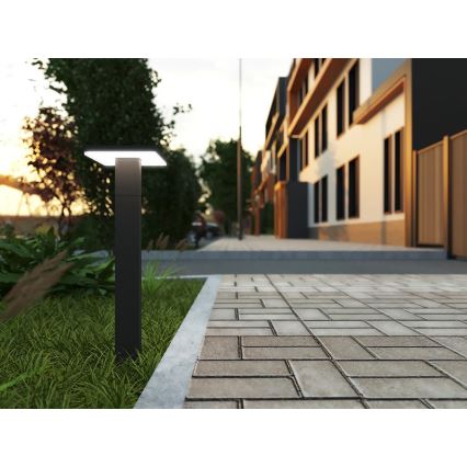 LED Outdoor lamp with a sensor BARI LED/10W/230V 4000K 60 cm IP54 anthracite