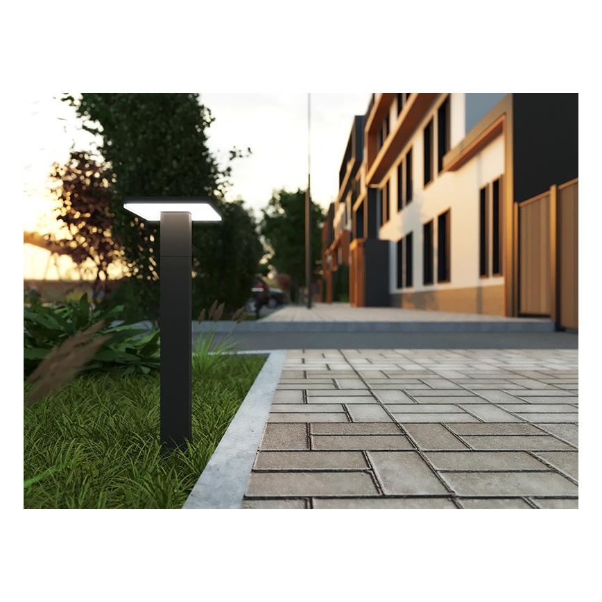 LED Outdoor lamp with a sensor BARI LED/10W/230V 4000K 60 cm IP54 anthracite