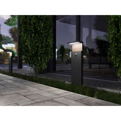LED Outdoor lamp with a sensor NATURA LED/12W/230V 4000K IP54 brown/anthracite