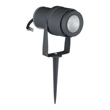 LED Outdoor light LED/12W/100-240V IP65 grey - green light