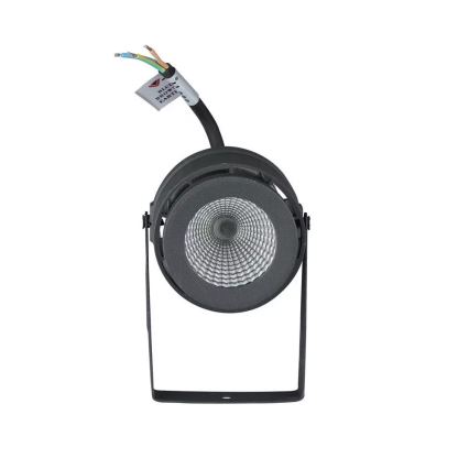 LED Outdoor light LED/12W/100-240V IP65 grey - green light