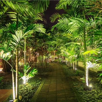 LED Outdoor light LED/12W/100-240V IP65 grey - green light