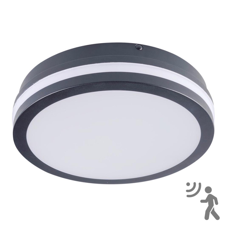 LED Outdoor light with a sensor BENO LED/18W/230V 4000K anthracite IP54