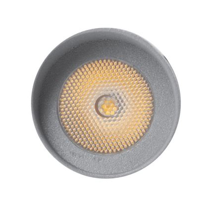 LED Outdoor lighting OKO 1xLED/1W/350mA IP54