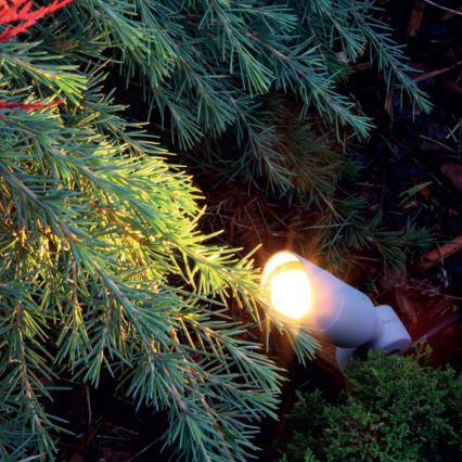 LED Outdoor lighting OKO 1xLED/1W/350mA IP54