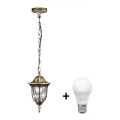 LED Outdoor Pendant Light FLORENCJA 1xE27/10W/230V IP43