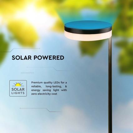 LED Outdoor solar lamp LED/2W/3,7V 3000K IP54 black