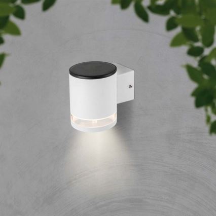 LED Outdoor solar wall light LED/1W/3,7V 3000K IP54 1200 mAh white