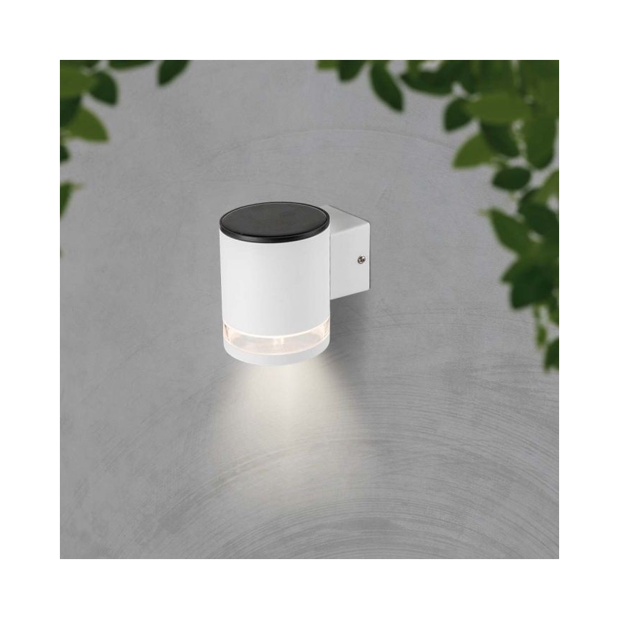 LED Outdoor solar wall light LED/1W/3,7V 3000K IP54 1200 mAh white