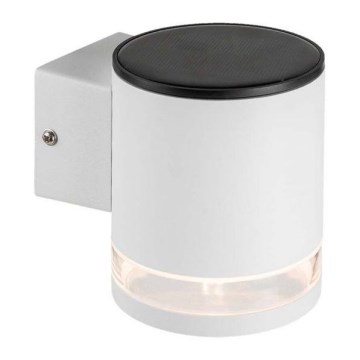 LED Outdoor solar wall light LED/1W/3,7V 3000K IP54 white