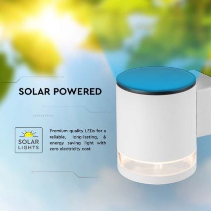 LED Outdoor solar wall light LED/1W/3,7V 3000K IP54 white