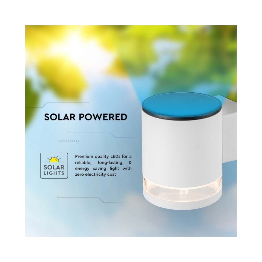 LED Outdoor solar wall light LED/1W/3,7V 3000K IP54 white