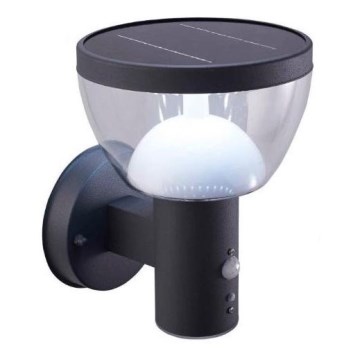 LED Outdoor solar wall light with sensor LARIX LED/3W/3,7V IP44