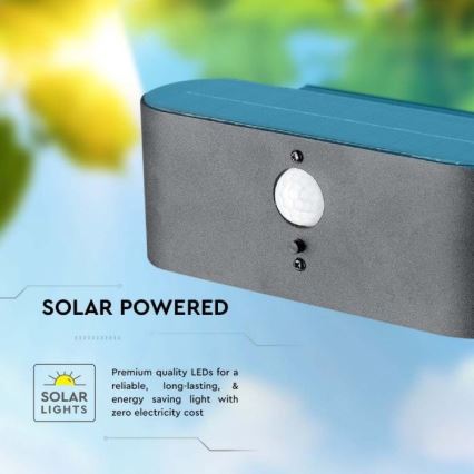 LED Outdoor solar wall light with sensor LED/2,5W/3,7V 3000K IP54