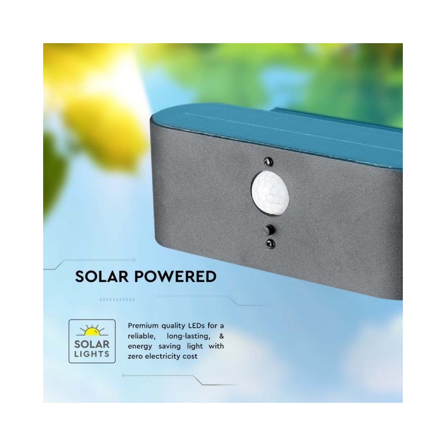 LED Outdoor solar wall light with sensor LED/2,5W/3,7V 3000K IP54
