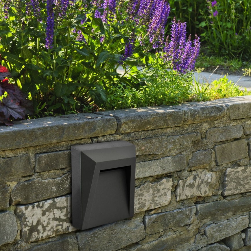 LED Outdoor staircase lighting HOLDEN LED/1W/230V IP65 anthracite