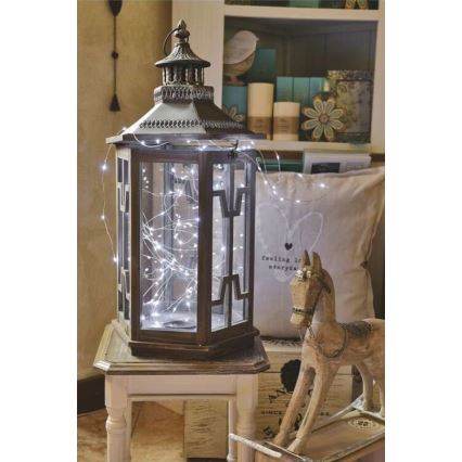 LED outdoor string lights, 40 LEDs, 9 m, IP44, cool white