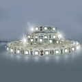 LED Outdoor strip LED/72W/12V 5m IP65 cool white