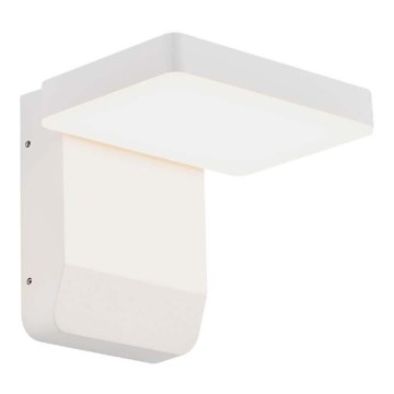 LED Outdoor wall flexible light LED/17W/230V IP65 3000K white