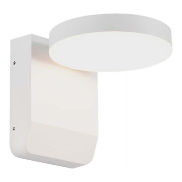 LED Outdoor wall flexible light LED/17W/230V IP65 3000K white