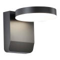 LED Outdoor wall flexible light LED/17W/230V IP65 4000K black