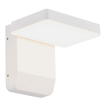 LED Outdoor wall flexible light LED/17W/230V IP65 4000K white