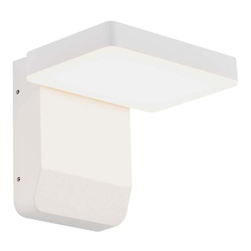 LED Outdoor wall flexible light LED/17W/230V IP65 4000K white