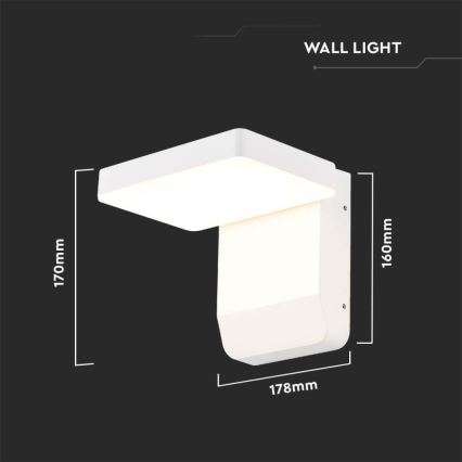 LED Outdoor wall flexible light LED/17W/230V IP65 4000K white