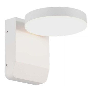 LED Outdoor wall flexible light LED/17W/230V IP65 4000K white